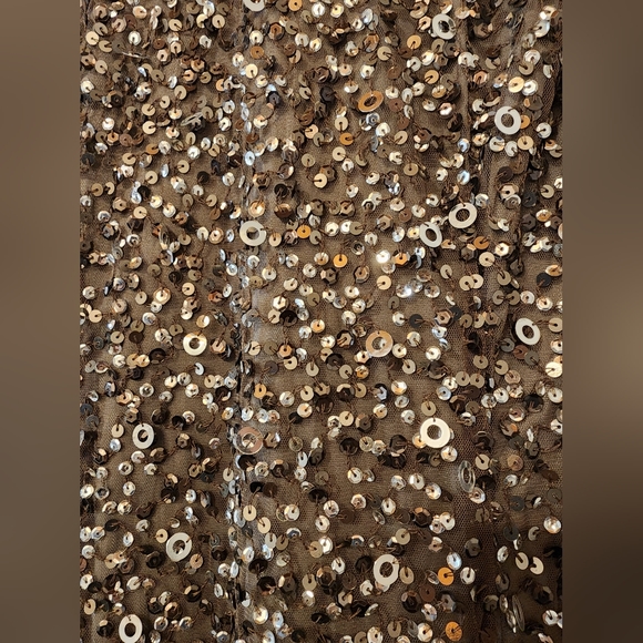 Adrianna Papell Beaded Gown Lead sz 8P - Picture 4 of 10